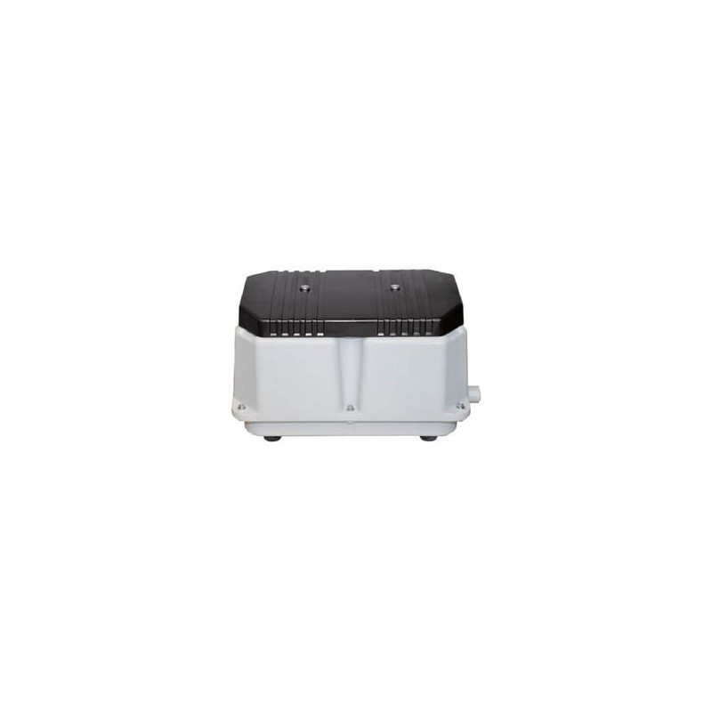Compresseur Thomas LW-300 – 350 L/min – IP54