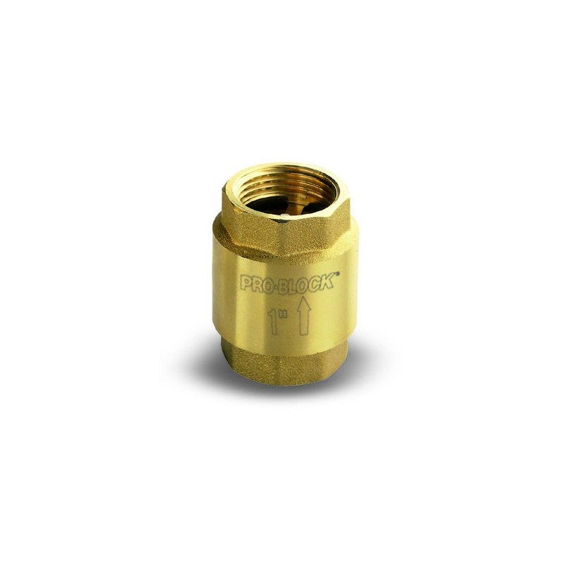 Clapet anti-retour laiton 1" pour pompe ou surpression