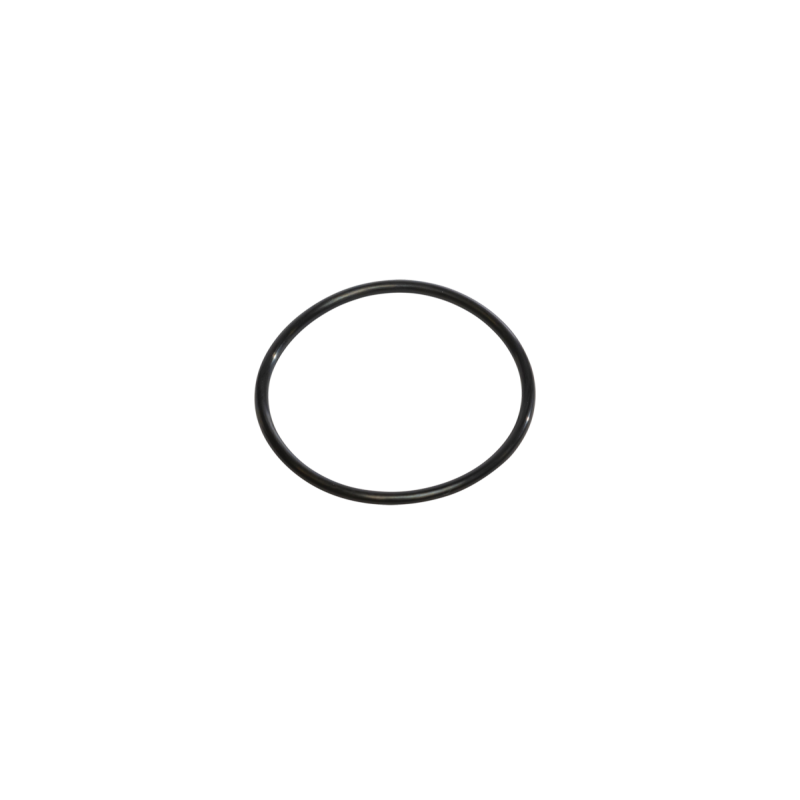 Joint torique pour cloche filtre Cintropur NW et SL – d’origine