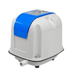 Thomas AP-40