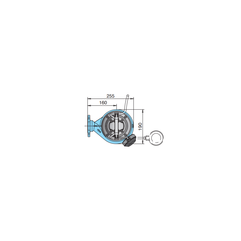 Calpeda GQGM 6-25 – Pompe broyeur eaux usées 25 m HMT